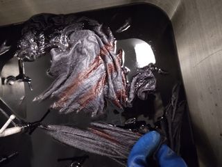 Dain's & Amanda's Earthship 2025