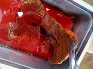 Dain's & Amanda's Earthship 2025