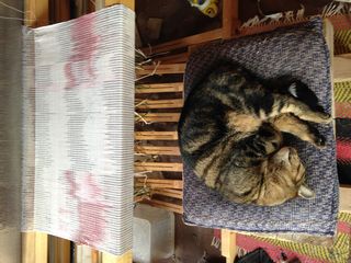 Dain's & Amanda's Earthship 2025