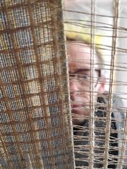 Dain's & Amanda's Earthship 2025